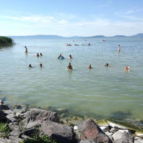 2017-BKV-Balatonfenyves-00051