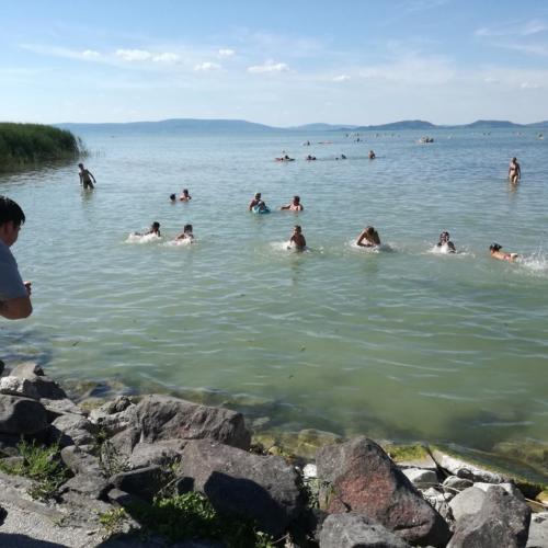 2017-BKV-Balatonfenyves-00058