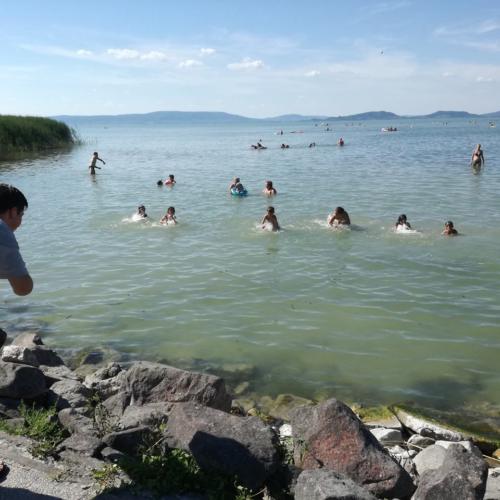 2017-BKV-Balatonfenyves-00059